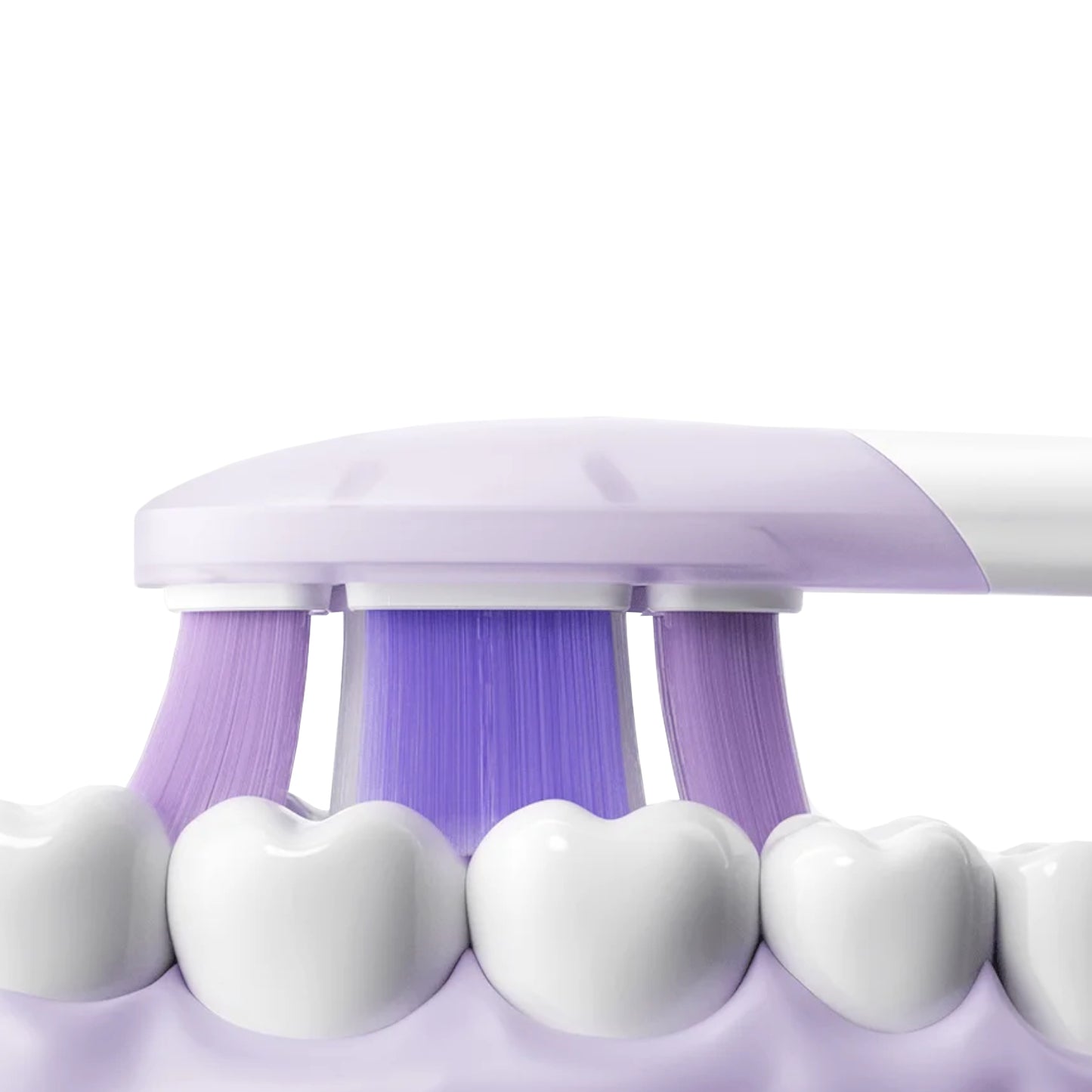 Xiaomi Oscillation Electric Toothbrush Pro Replacement Heads (Soft)