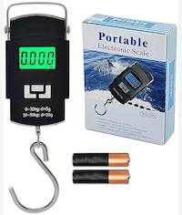 Casey Portable Electronic Digital Steel Handle Scale