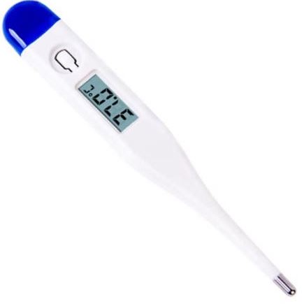 Casey Blue Electronic Thermometer My Store