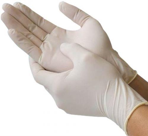 Casey ExamPro Powder Free Latex Disposable Gloves Box of My Store