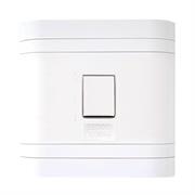 Lesco 50A 2 Pole Flush Isolator Switch